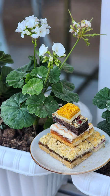 ورکشاپ شیرینی اسلایسی فرانسوی